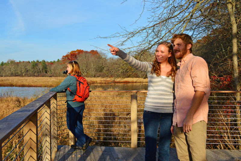 people standing on scenic overlook and looking at nature