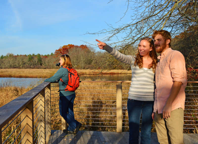 people standing on scenic overlook and looking at nature