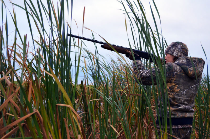 A woman hunter aiming a gun through tall grass