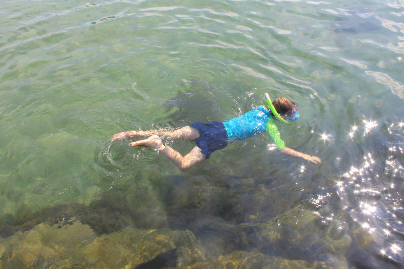 A child floating in the water with snorkel and mask on