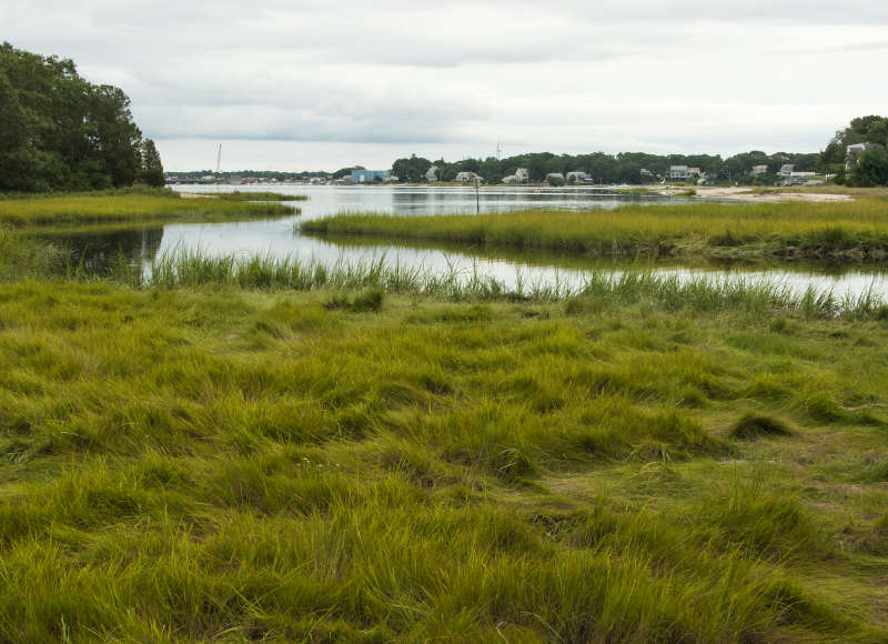 Red Brook flowing into Buttermilk Bay