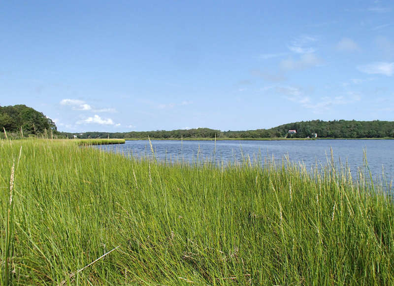 view from the Slocums River Reserve