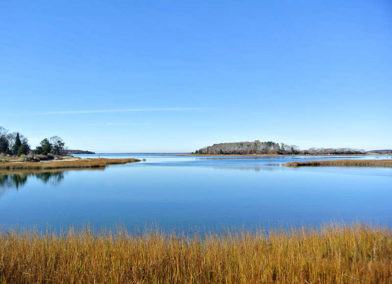 Little Bay on a sunny day