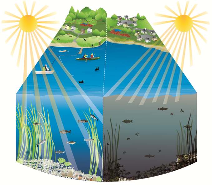 illustration of clean water versus nitrogen polluted water