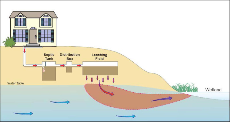 graphic showing nitrogen pollution from septic systems