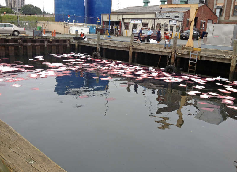 oil spill in New Bedford Harbor