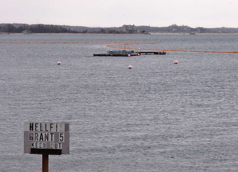 oil spill in Cape Cod Canal