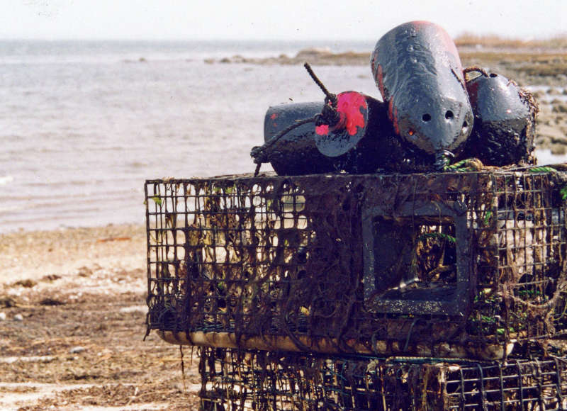 lobster traps covered with oil