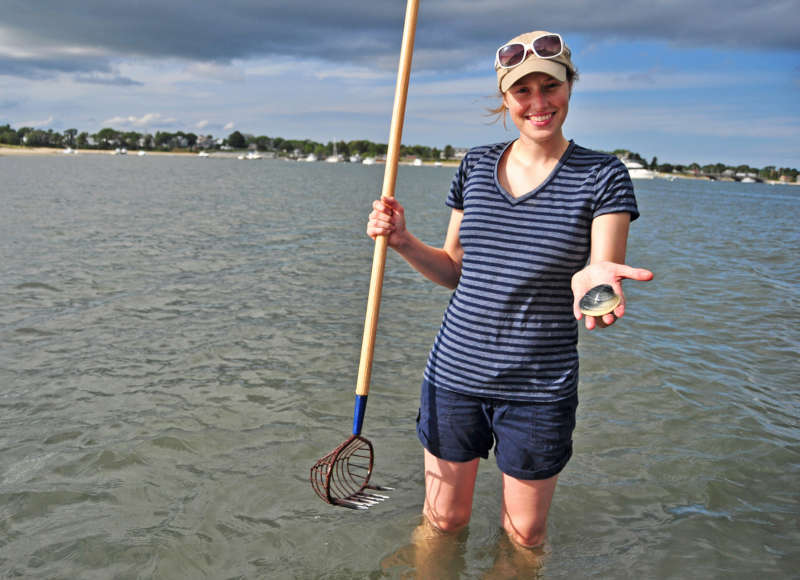 A woman standing in Onset Bay holding a clam and a rake.