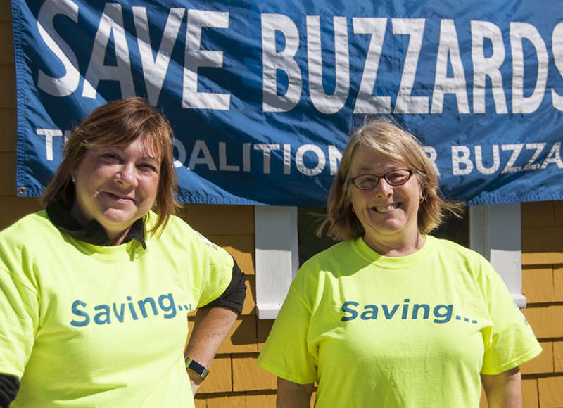 Volunteer - Buzzards Bay Coalition