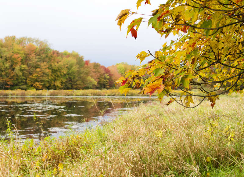 Buzzards Bay Coalition