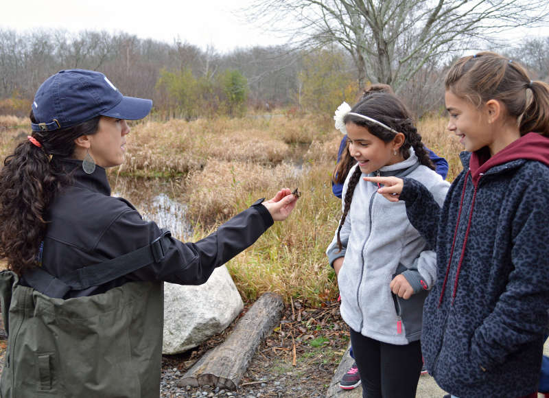 schoolchildren looking at crayfish from Acushnet River