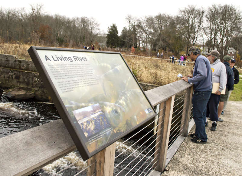 sign about fish restoration on the Acushnet River