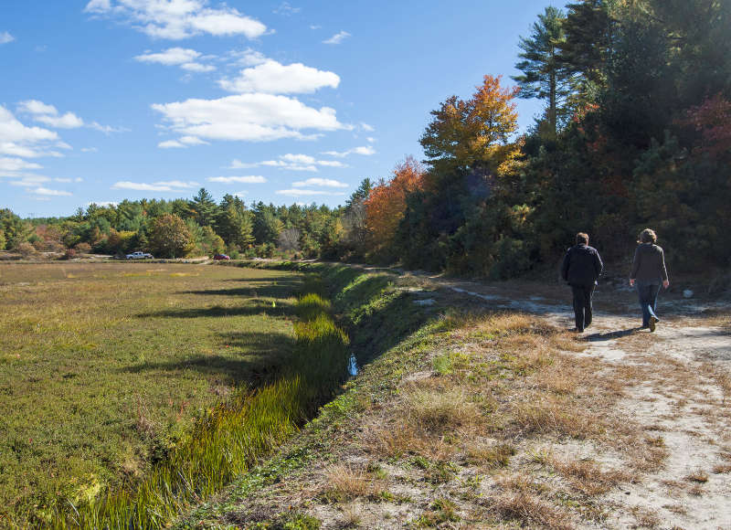 two people walking next to a cranberry bog