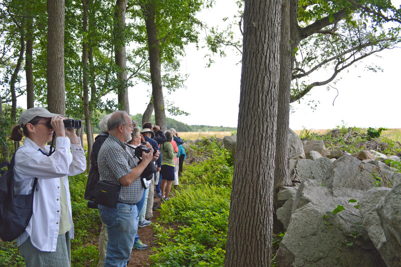 birders on Shaw Farm Trail in Fairhaven