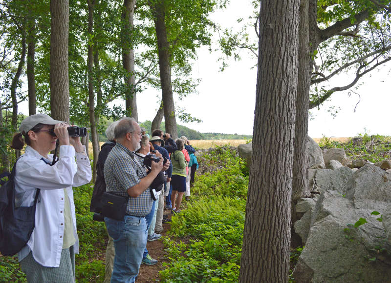 birders on Shaw Farm Trail in Fairhaven