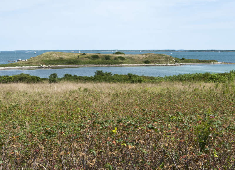 view from Penikese Island