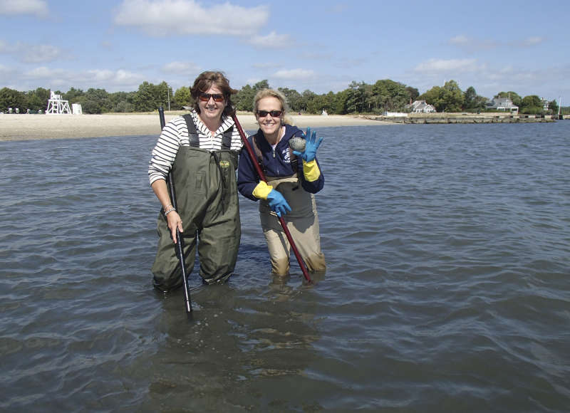 two women quahogging in Sippican Harbor