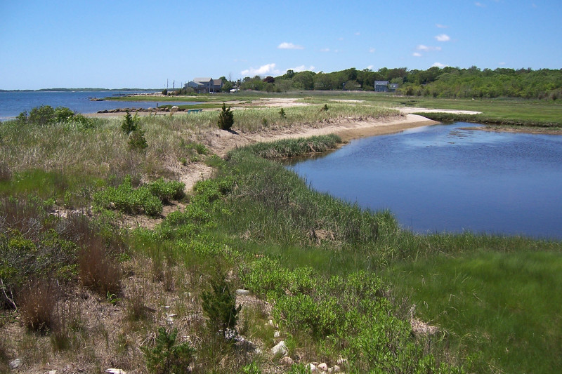 marsh at end of Brandt Island Road in Mattapoisett