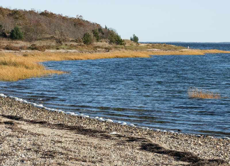 marsh and forest along shoreline of Buzzards Bay