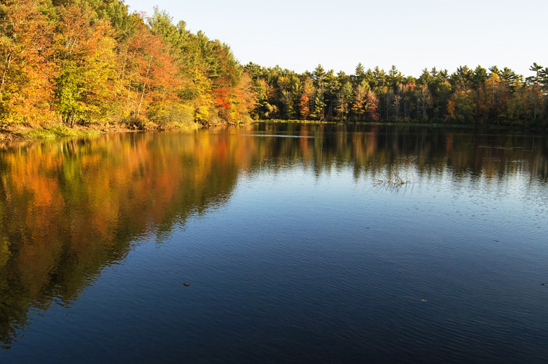 pond in Middleborough in autumn