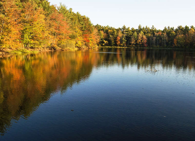 pond in Middleborough in autumn