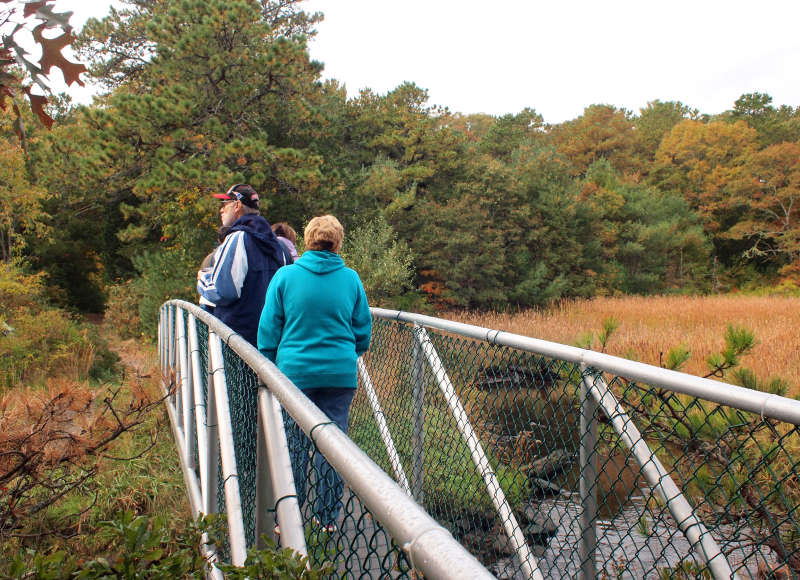 people on a footbridge at the Lyman Reserve