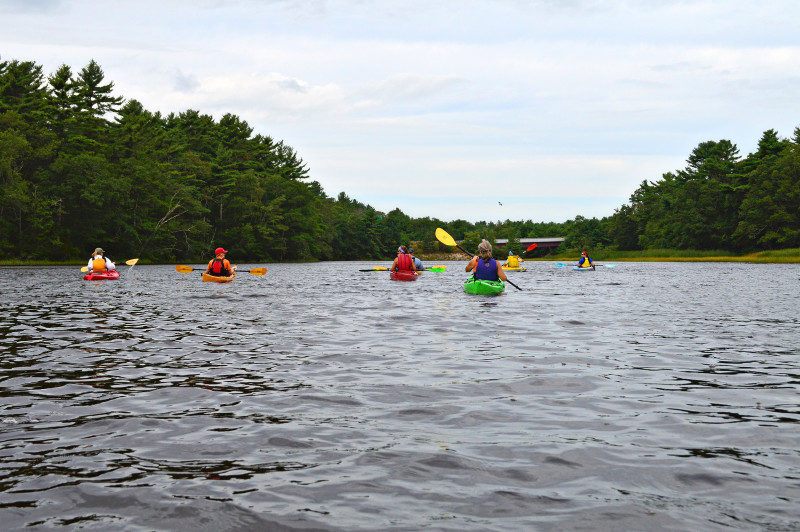 kayakers paddling up the Weweantic River in Wareham