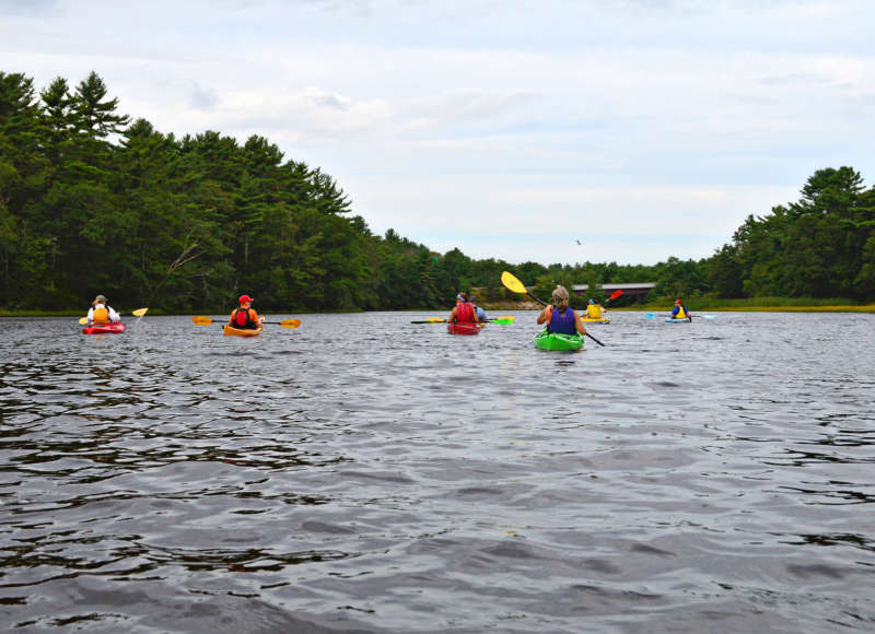 kayakers paddling up the Weweantic River in Wareham