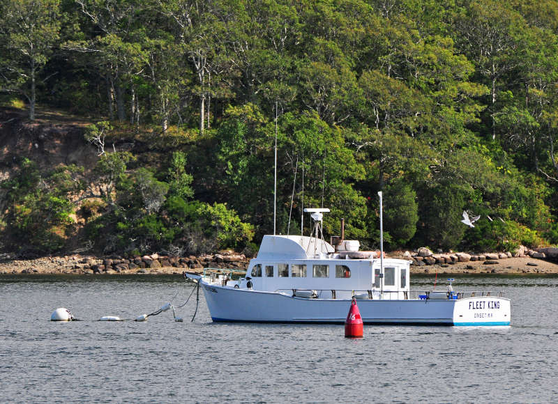 boat moored next to Wickets Island on Onset Bay in Wareham