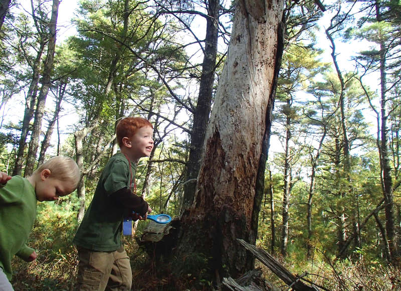 two little boys in the woods at Great Neck Wildlife Sanctuary in Wareham