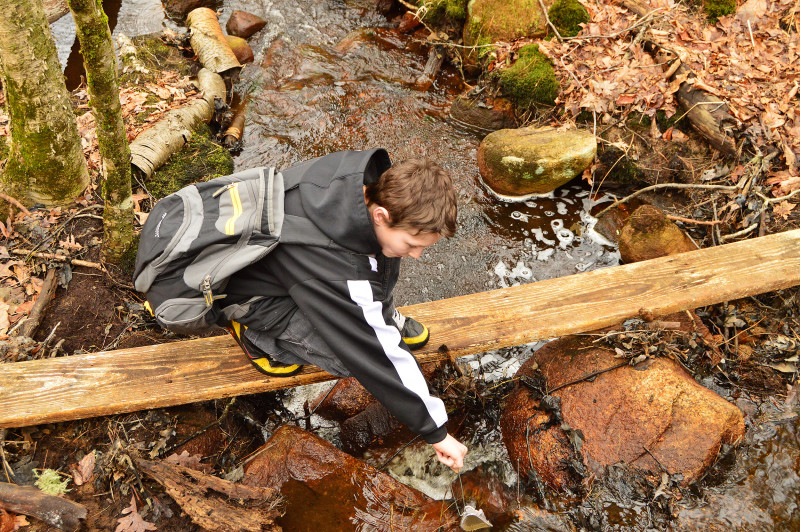a boy with a net exploring a stream in the woods