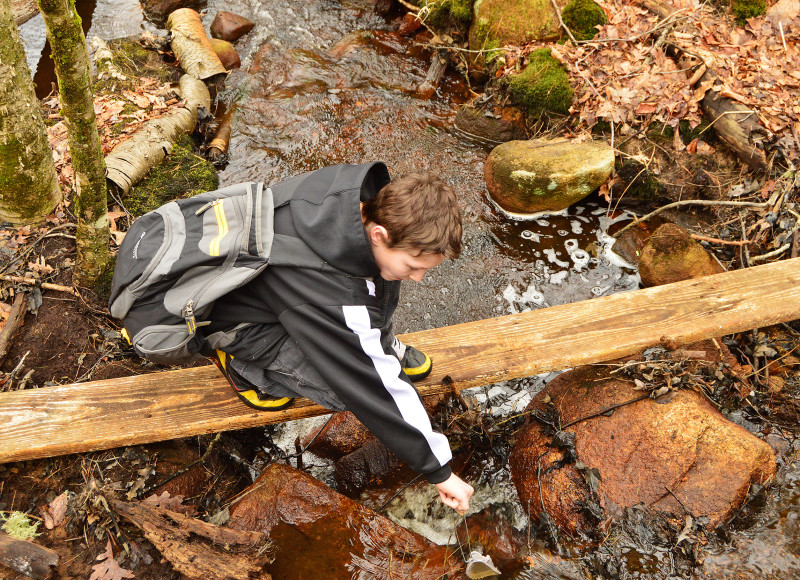 a boy with a net exploring a stream in the woods