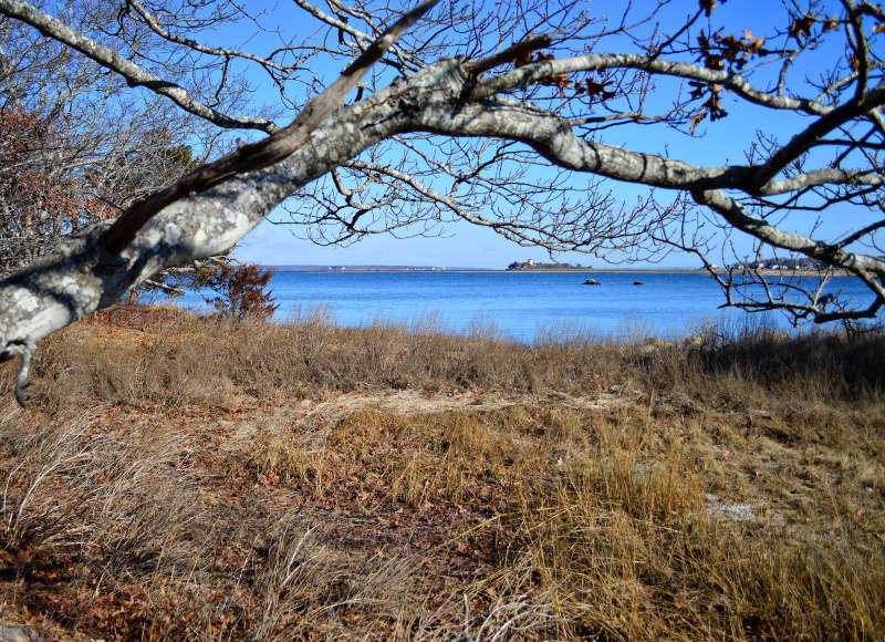 Little Bay from Shipyard Farm in Fairhaven