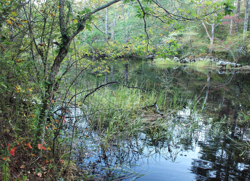 Sippican River at Tweedy and Barnes in Wareham