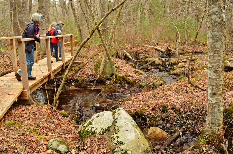 people on a footbridge over a river in the woods in Wareham