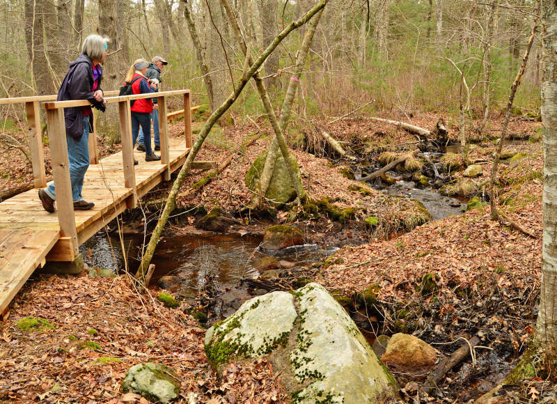 Fresh Start Hike-Kelly Woodland - Buzzards Bay Coalition