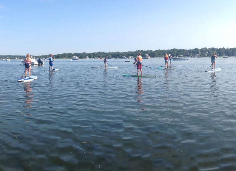 a group of people stand-up paddleboarding in Apponagansett Bay