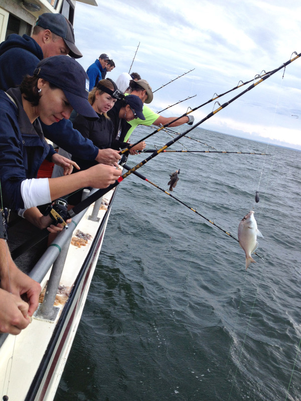 fishing rods on a charter boat in Buzzards Bay