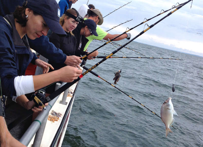 fishing rods on a charter boat in Buzzards Bay