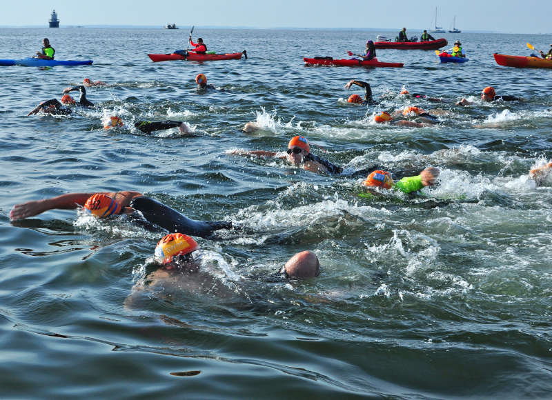 a group of people swimming in New Bedford