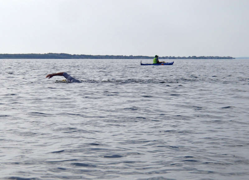 a man swimming across outer New Bedford Harbor