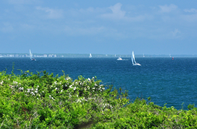 sailboats on Buzzards Bay