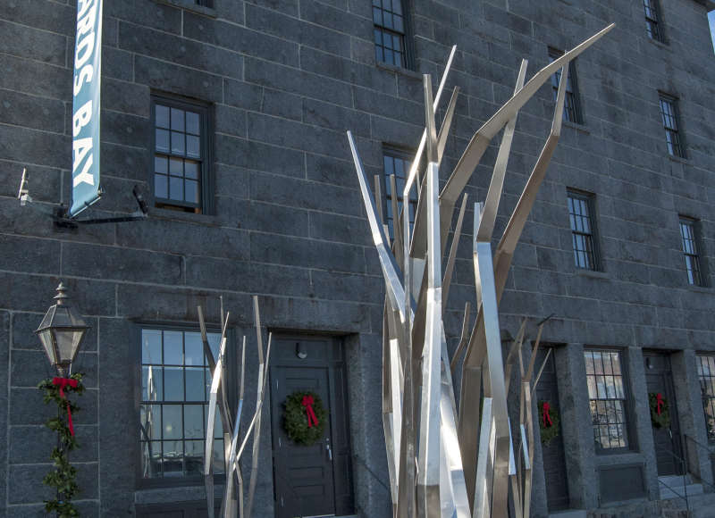 metal eelgrass sculptures outside the Buzzards Bay Center in New Bedford