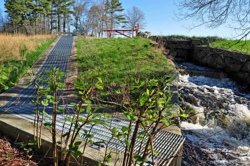 fish ladder on the Acushnet River