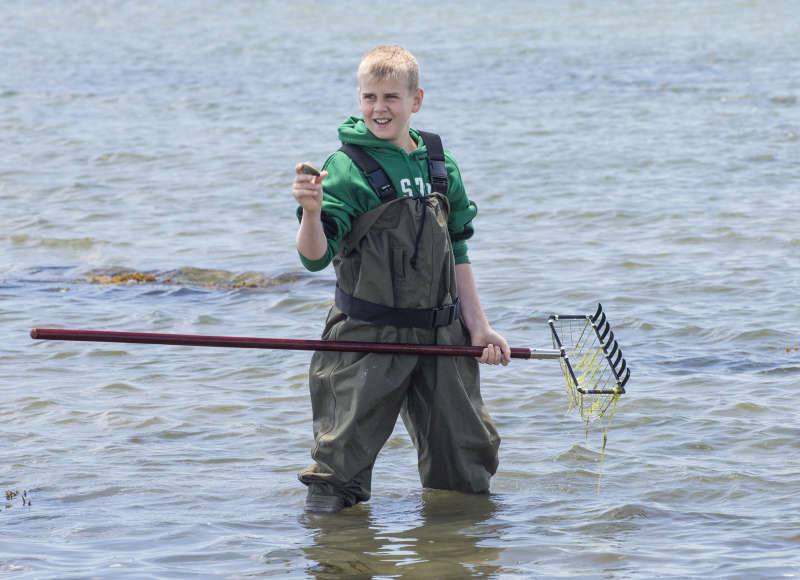 a teenage boy wearing waders holding a quahog and a clam rake