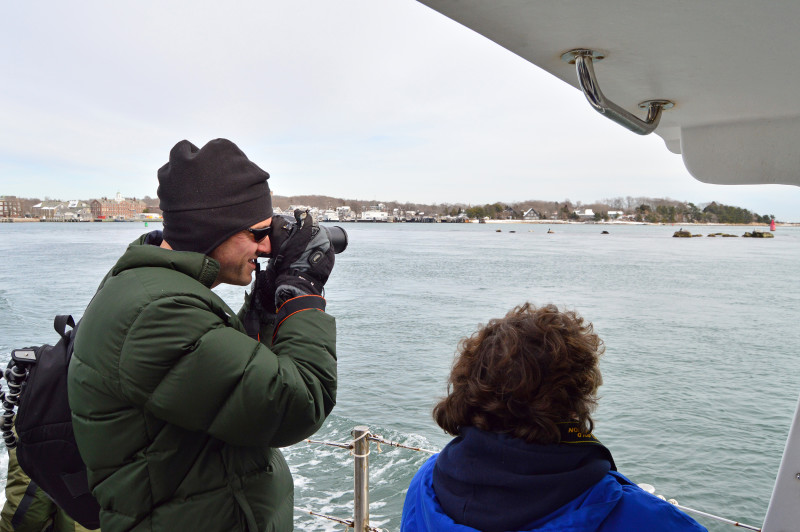 a man taking photos of harbor seals from a boat in Woods Hole