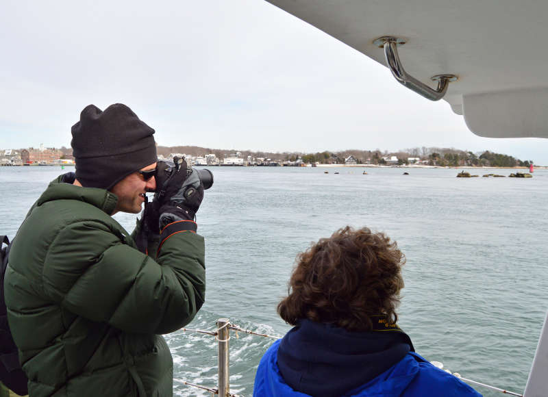a man taking photos of harbor seals from a boat in Woods Hole