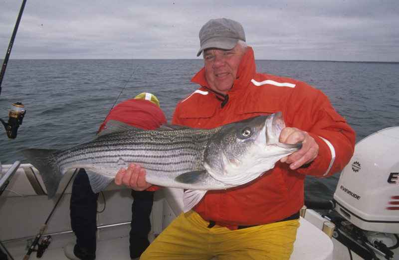 a man holding a large striped bass on a boat in Buzzards Bay