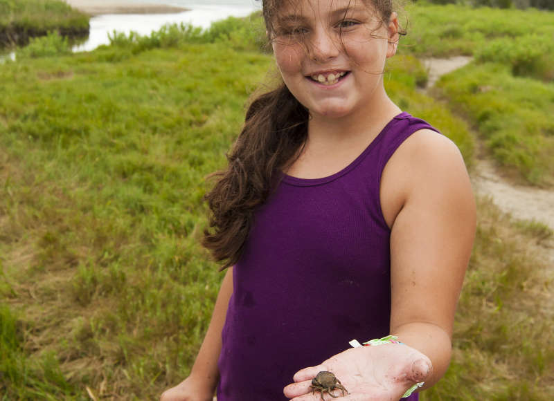 a girl holding a small crab in a salt marsh at Eel Pond in Mattapoisett